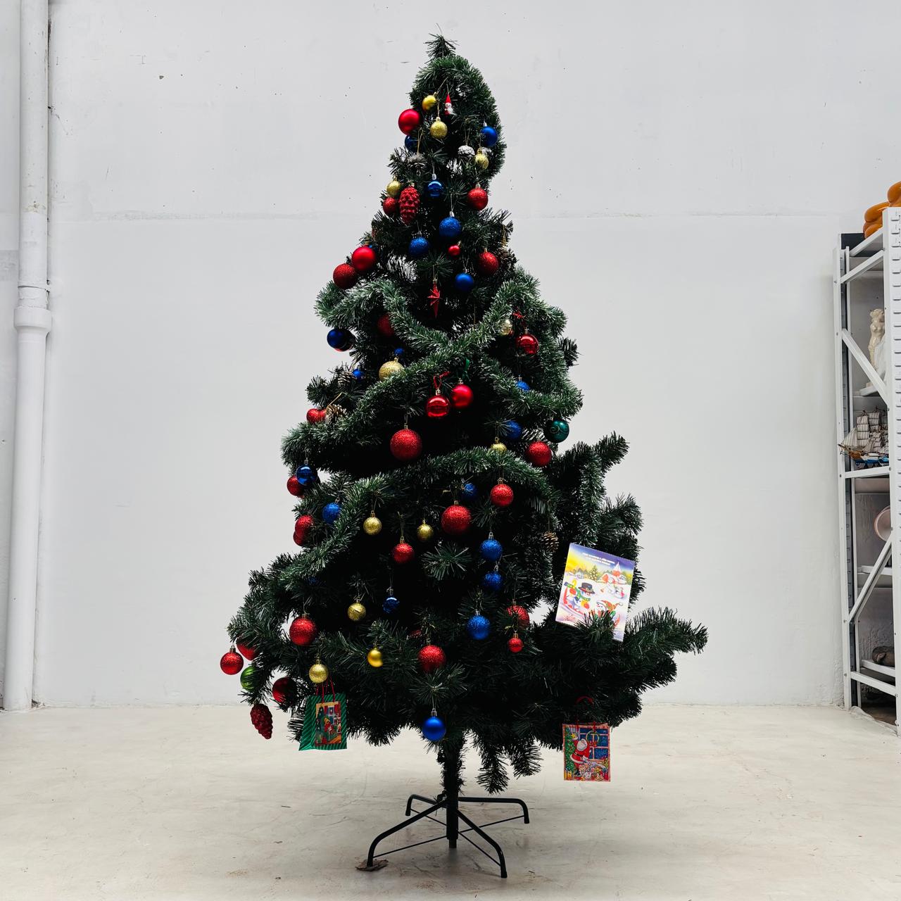 WhatsApp Image 2025-12-09 at 17.14.05 (2)